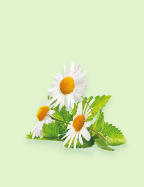 CONȚINE IERBURI ȘI FIBRE NATURALE
